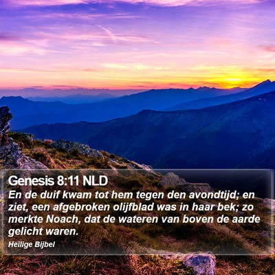 Genesis 8:11 NLD Bible Verse Image