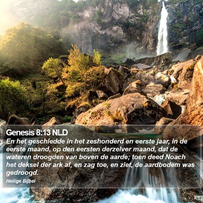 Genesis 8:13 NLD Bible Verse Image