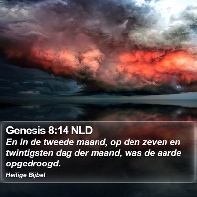 Genesis 8:14 NLD Bible Verse Image