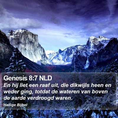 Genesis 8:7 NLD Bible Verse Image