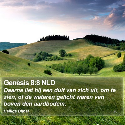 Genesis 8:8 NLD Bible Verse Image