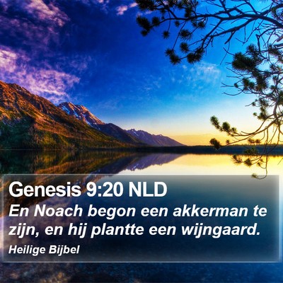 Genesis 9:20 NLD Bible Verse Image