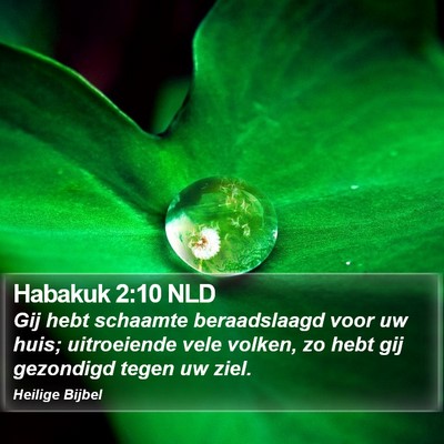 Habakuk 2:10 NLD Bible Verse Image