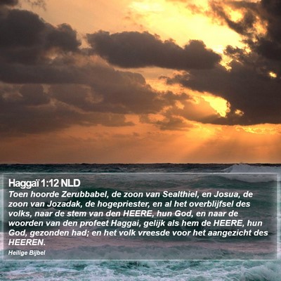 Haggaï 1:12 NLD Bible Verse Image