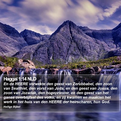Haggaï 1:14 NLD Bible Verse Image