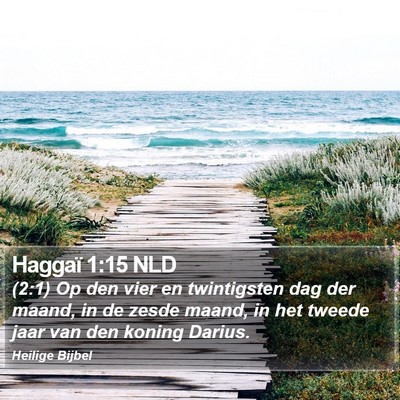 Haggaï 1:15 NLD Bible Verse Image