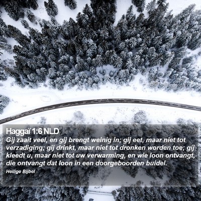 Haggaï 1:6 NLD Bible Verse Image