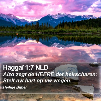 Haggaï 1:7 NLD Bible Verse Image