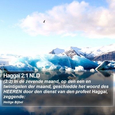 Haggaï 2:1 NLD Bible Verse Image