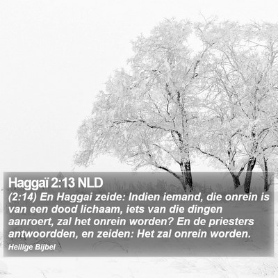 Haggaï 2:13 NLD Bible Verse Image