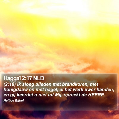 Haggaï 2:17 NLD Bible Verse Image