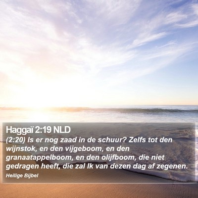 Haggaï 2:19 NLD Bible Verse Image