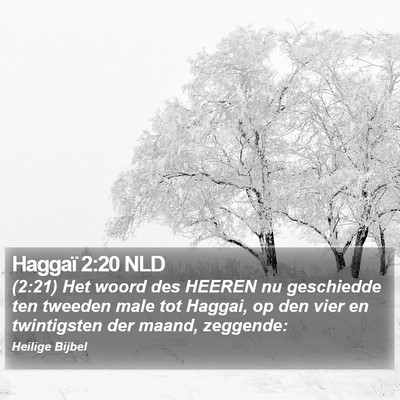 Haggaï 2:20 NLD Bible Verse Image