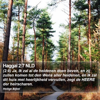 Haggaï 2:7 NLD Bible Verse Image