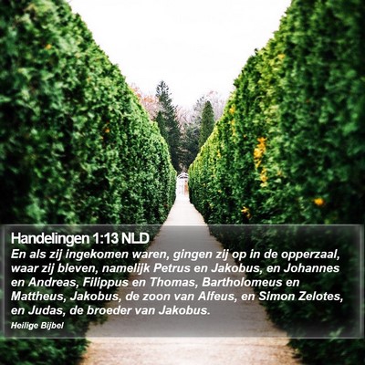 Handelingen 1:13 NLD Bible Verse Image