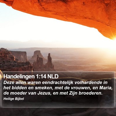 Handelingen 1:14 NLD Bible Verse Image