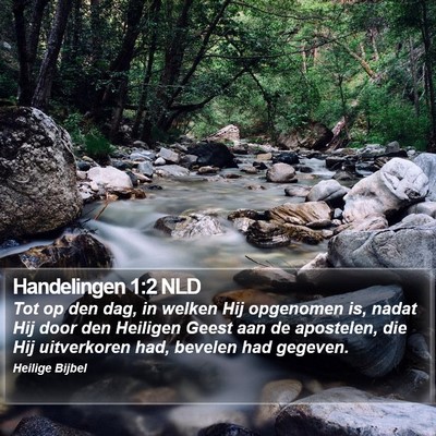 Handelingen 1:2 NLD Bible Verse Image