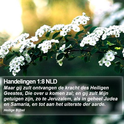 Handelingen 1:8 NLD Bible Verse Image