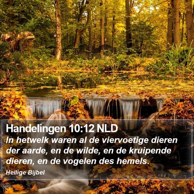 Handelingen 10:12 NLD Bible Verse Image