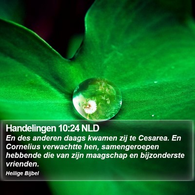 Handelingen 10:24 NLD Bible Verse Image
