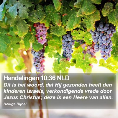 Handelingen 10:36 NLD Bible Verse Image