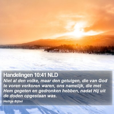 Handelingen 10:41 NLD Bible Verse Image