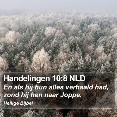 Handelingen 10:8 NLD Bible Verse Image