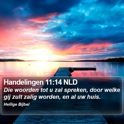 Handelingen 11:14 NLD Bible Verse Image