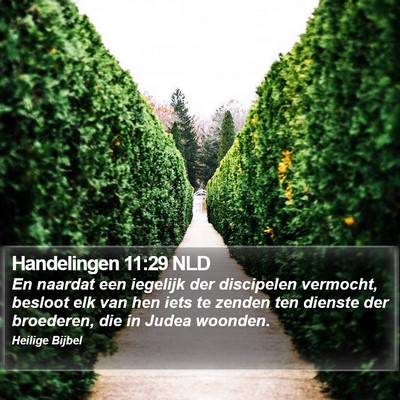 Handelingen 11:29 NLD Bible Verse Image