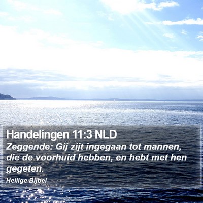 Handelingen 11:3 NLD Bible Verse Image