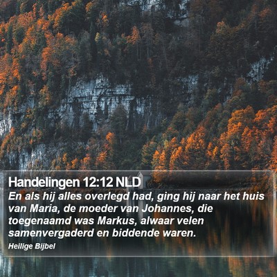Handelingen 12:12 NLD Bible Verse Image