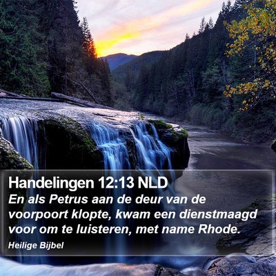Handelingen 12:13 NLD Bible Verse Image