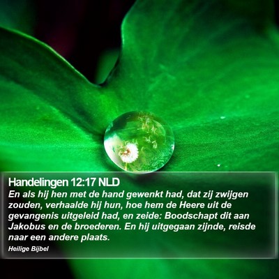 Handelingen 12:17 NLD Bible Verse Image