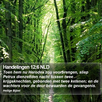 Handelingen 12:6 NLD Bible Verse Image