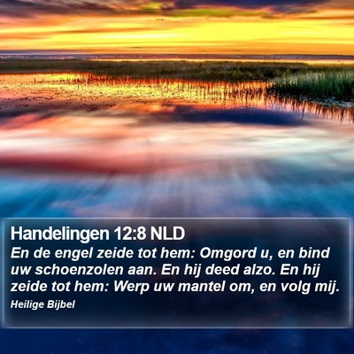 Handelingen 12:8 NLD Bible Verse Image
