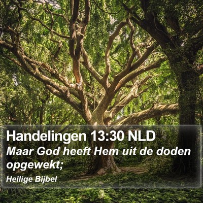 Handelingen 13:30 NLD Bible Verse Image