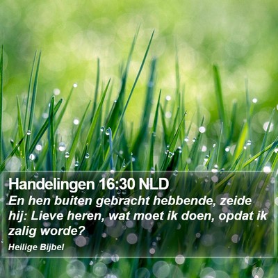 Handelingen 16:30 NLD Bible Verse Image