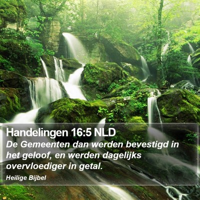 Handelingen 16:5 NLD Bible Verse Image