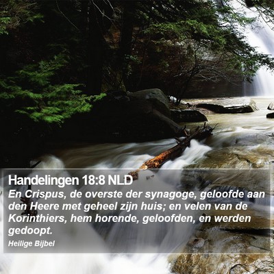 Handelingen 18:8 NLD Bible Verse Image