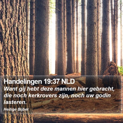 Handelingen 19:37 NLD Bible Verse Image