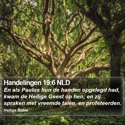 Handelingen 19:6 NLD Bible Verse Image