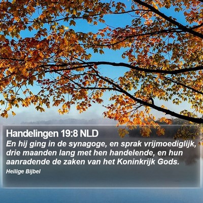 Handelingen 19:8 NLD Bible Verse Image