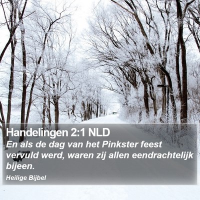 Handelingen 2:1 NLD Bible Verse Image