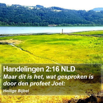 Handelingen 2:16 NLD Bible Verse Image