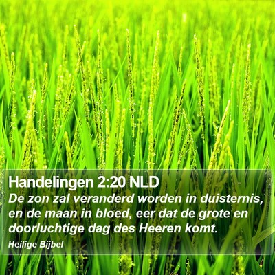 Handelingen 2:20 NLD Bible Verse Image