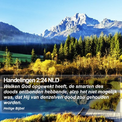 Handelingen 2:24 NLD Bible Verse Image