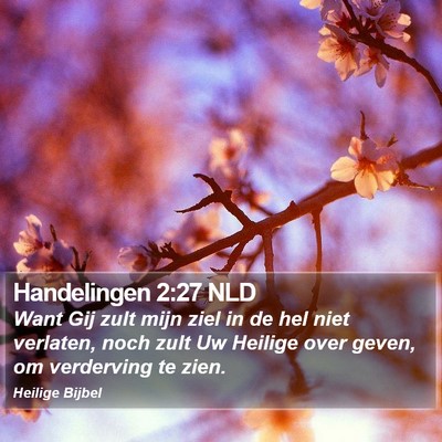 Handelingen 2:27 NLD Bible Verse Image