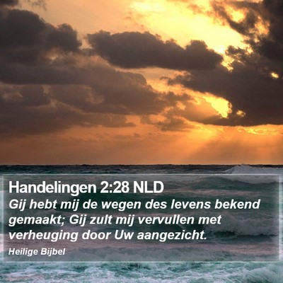 Handelingen 2:28 NLD Bible Verse Image