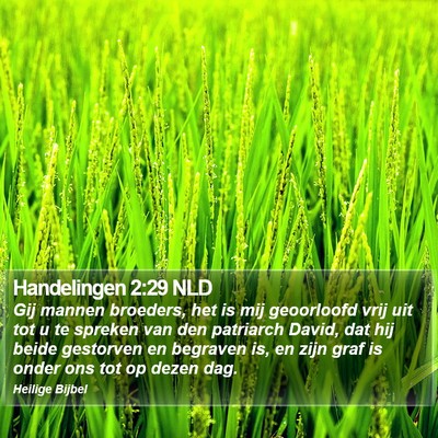 Handelingen 2:29 NLD Bible Verse Image