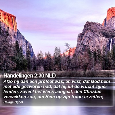 Handelingen 2:30 NLD Bible Verse Image